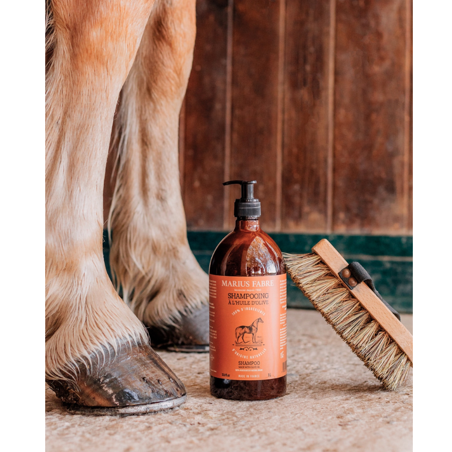 Paardenverzorging shampoo paard